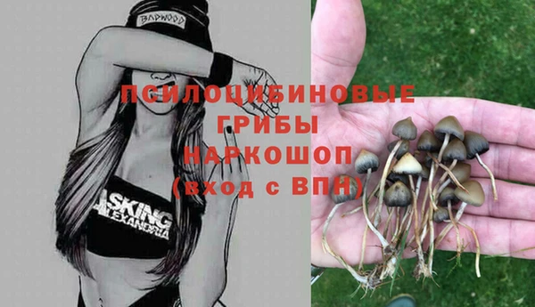 соль ск Навашино
