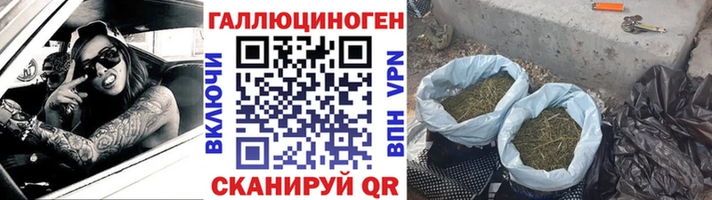 Псилоцибиновые грибы GOLDEN TEACHER  Трубчевск 